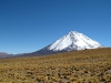 atacama (3)